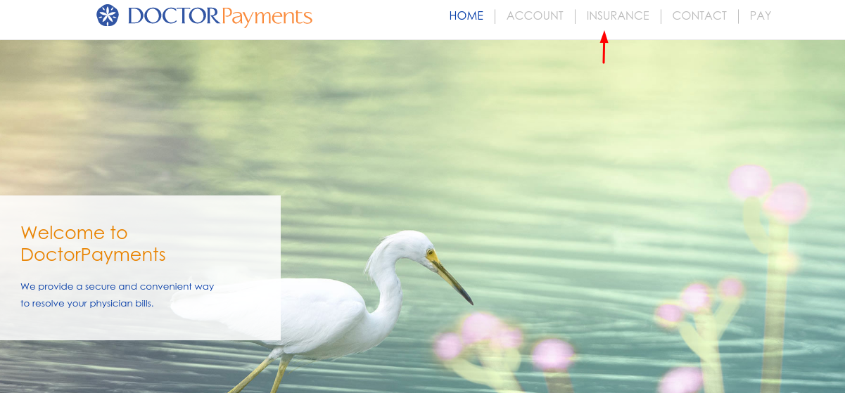 DoctotPayments Insurance